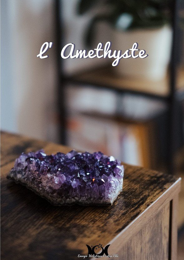 682a7377a5cb60053675c79e_miniature-couv-amethyste_1752516998031.jpg